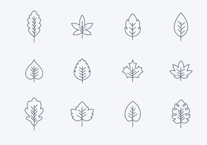 Ícones simples de folhas simples vetor