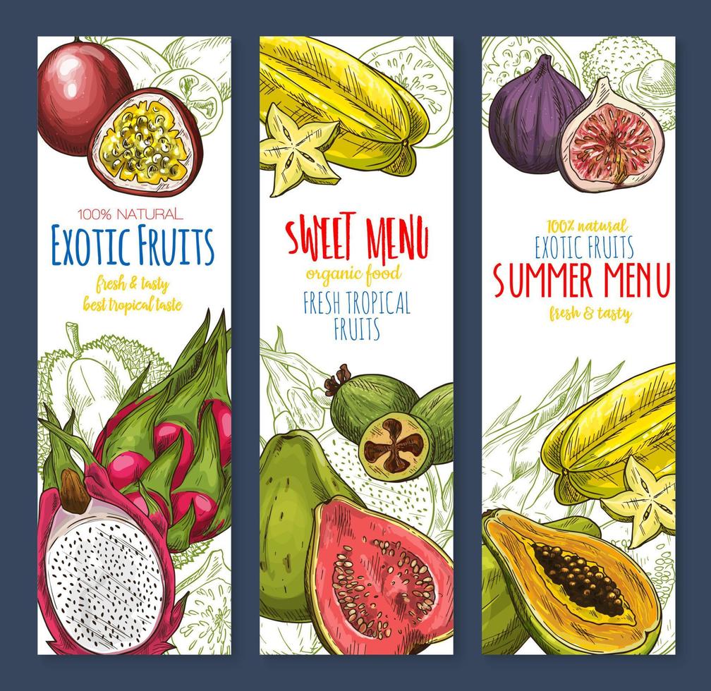 conjunto de banner de esboço de comida tropical doce de frutas exóticas vetor