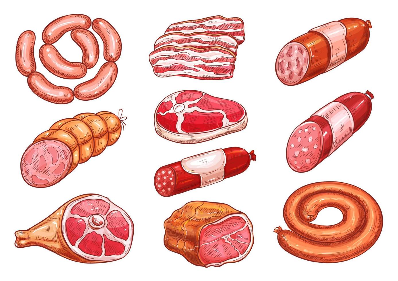 conjunto de esboços de salsicha e carne para design de alimentos vetor