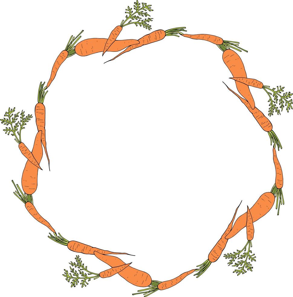 moldura redonda com cenouras incríveis em fundo branco. imagem vetorial vetor