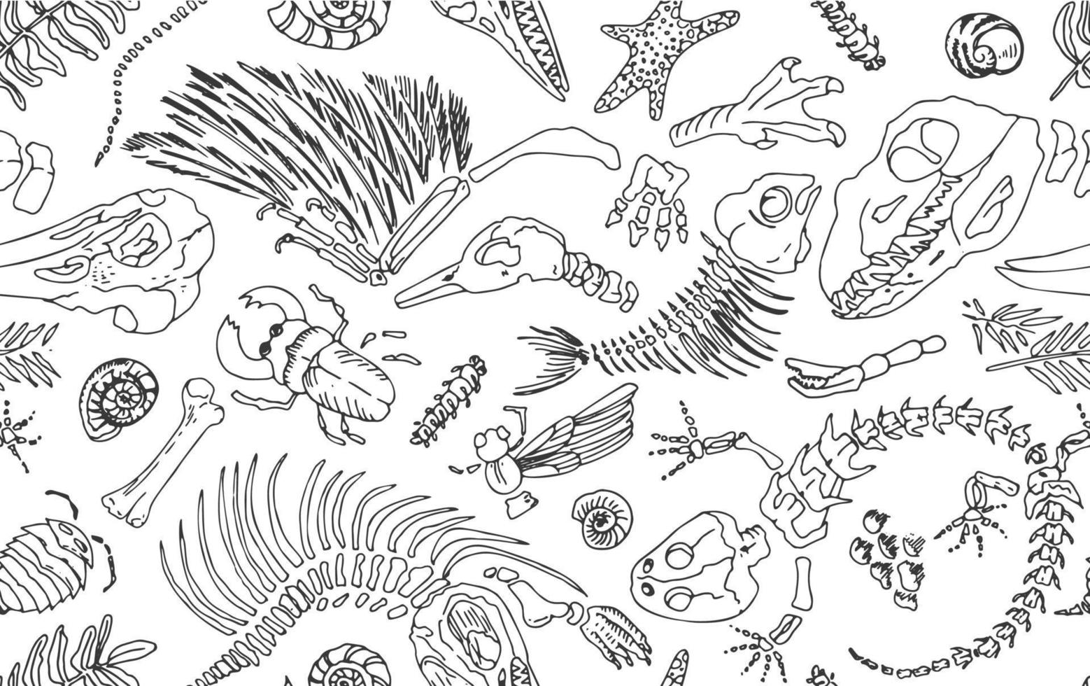 contorno de linha preta isolada imprime esqueletos de animais pré-históricos, insetos e plantas. arte desenhada de mão realista sem costura padrão. ilustração vetorial vetor