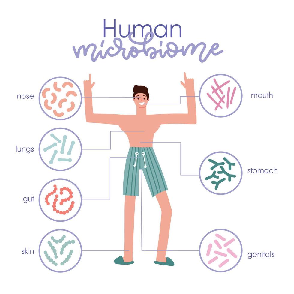 diferentes tipos de microbioma humano. infográfico com um personagem de homem. intestino, boca, pele, microflora genital com bactérias probióticas saudáveis. ilustração de medicina plana de check-up de microbiologia. vetor