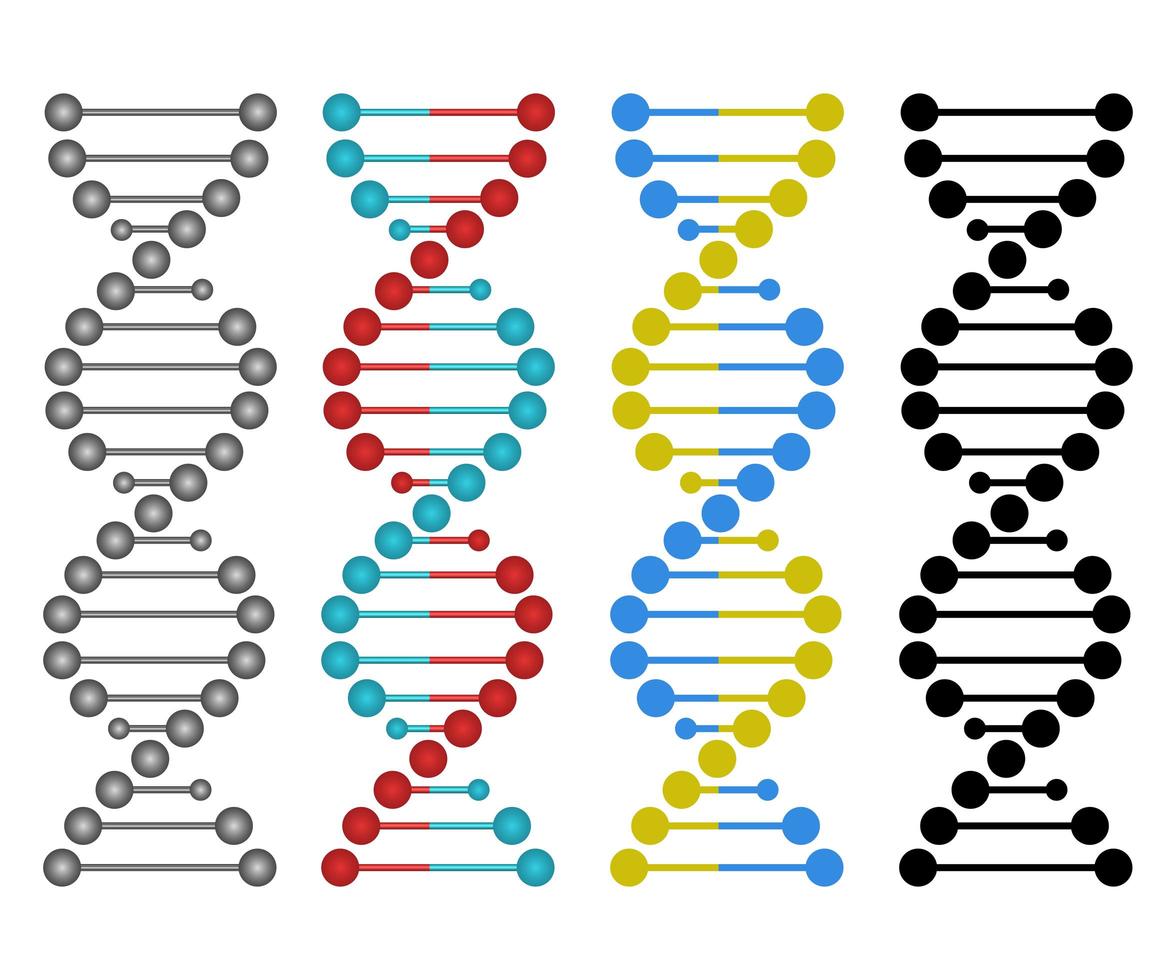 projeto de DNA humano vetor