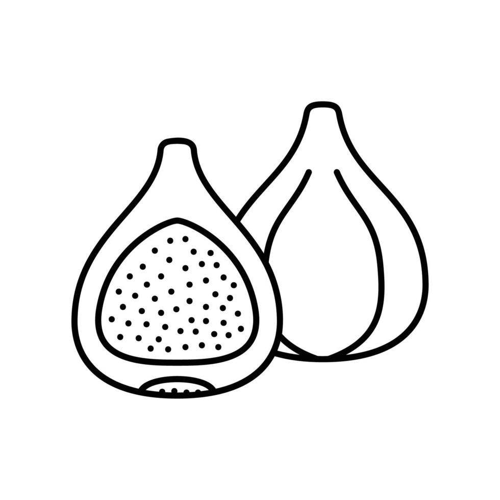ícone de figo para frutas frescas com meia fatia no estilo de contorno preto vetor