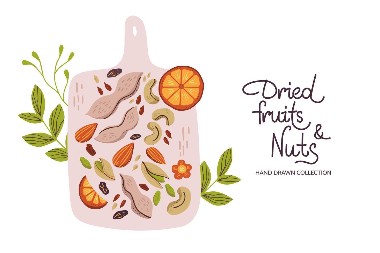 frutas secas e nozes desenhadas à mão. modelo de design de banner de comida saudável. ilustração vetorial vetor