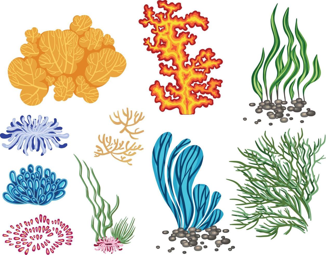 conjunto de plantas vetoriais marinhas, algas desenhadas à mão vetor