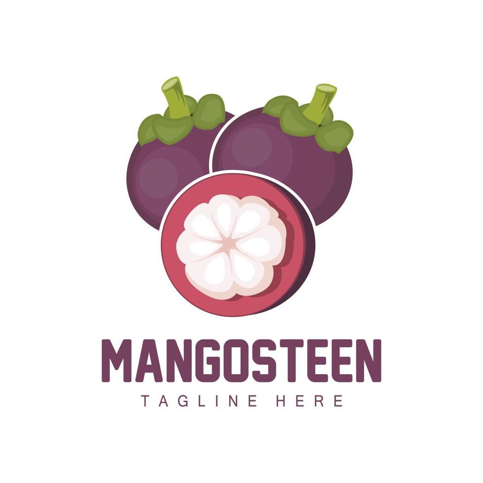 design de logotipo de mangostão, vetor de frutas frescas para a saúde da pele, ilustração de marca de loja de frutas e medicina natural da pele