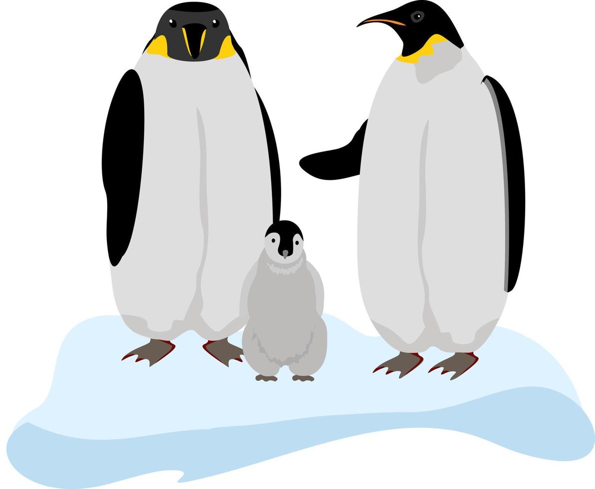 família de pinguins em um bloco de gelo. pinguim imperador. bicho do norte. pinguim do ártico vetor