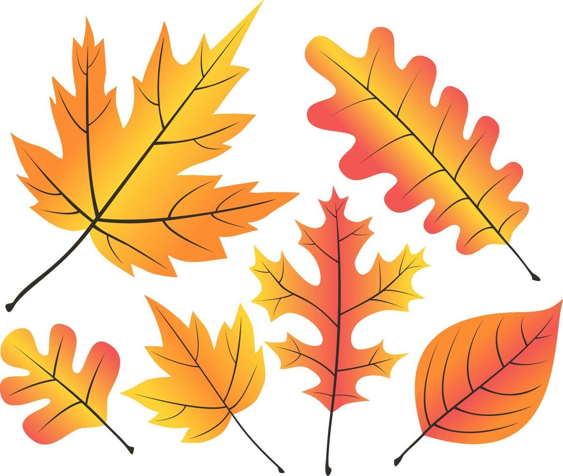 decalques de ícone de variedade de folhas de outono vetor