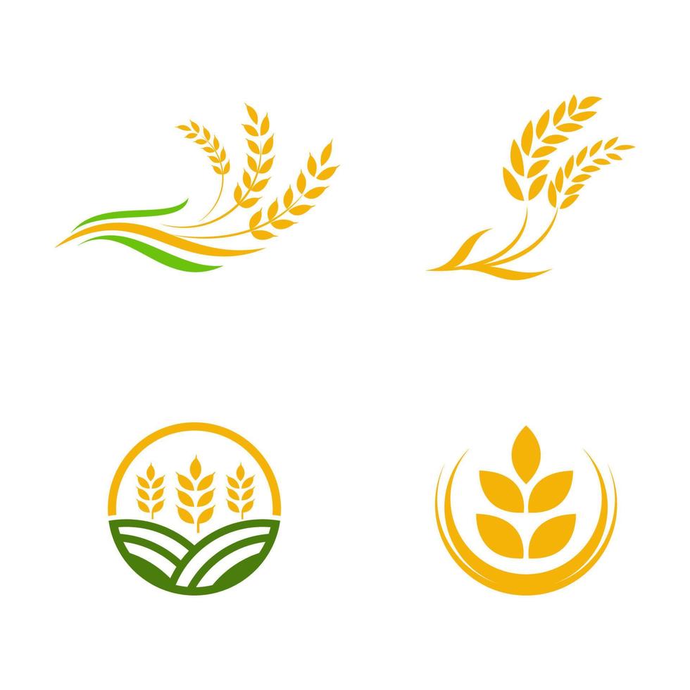 design de ícone de vetor de arroz de trigo de agricultura