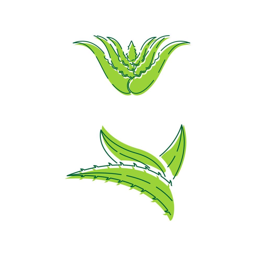 ilustração do projeto do ícone do vetor aloe vera