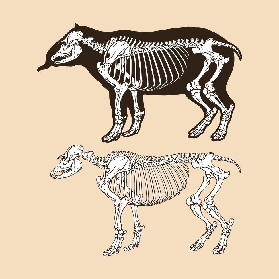 ilustração vetorial de anta esqueleto vetor