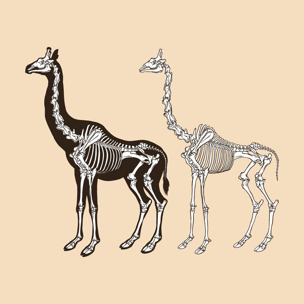 ilustração vetorial de girafa de esqueleto vetor