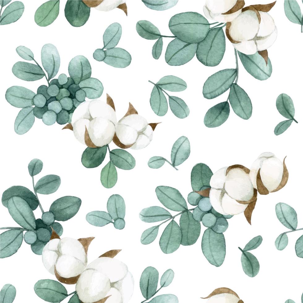 desenho em aquarela. padrão perfeito com folhas de eucalipto e flores de algodão em um fundo branco vetor