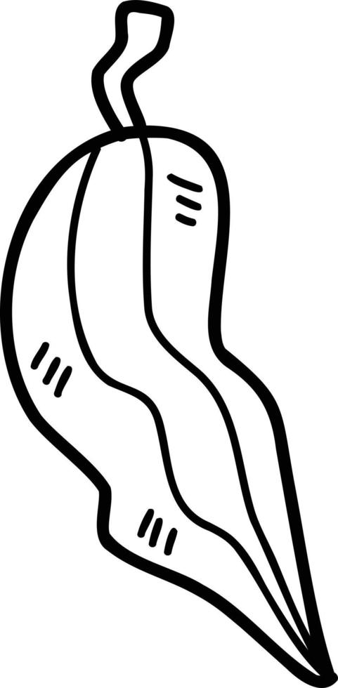 ilustração de pimenta desenhada de mão vetor