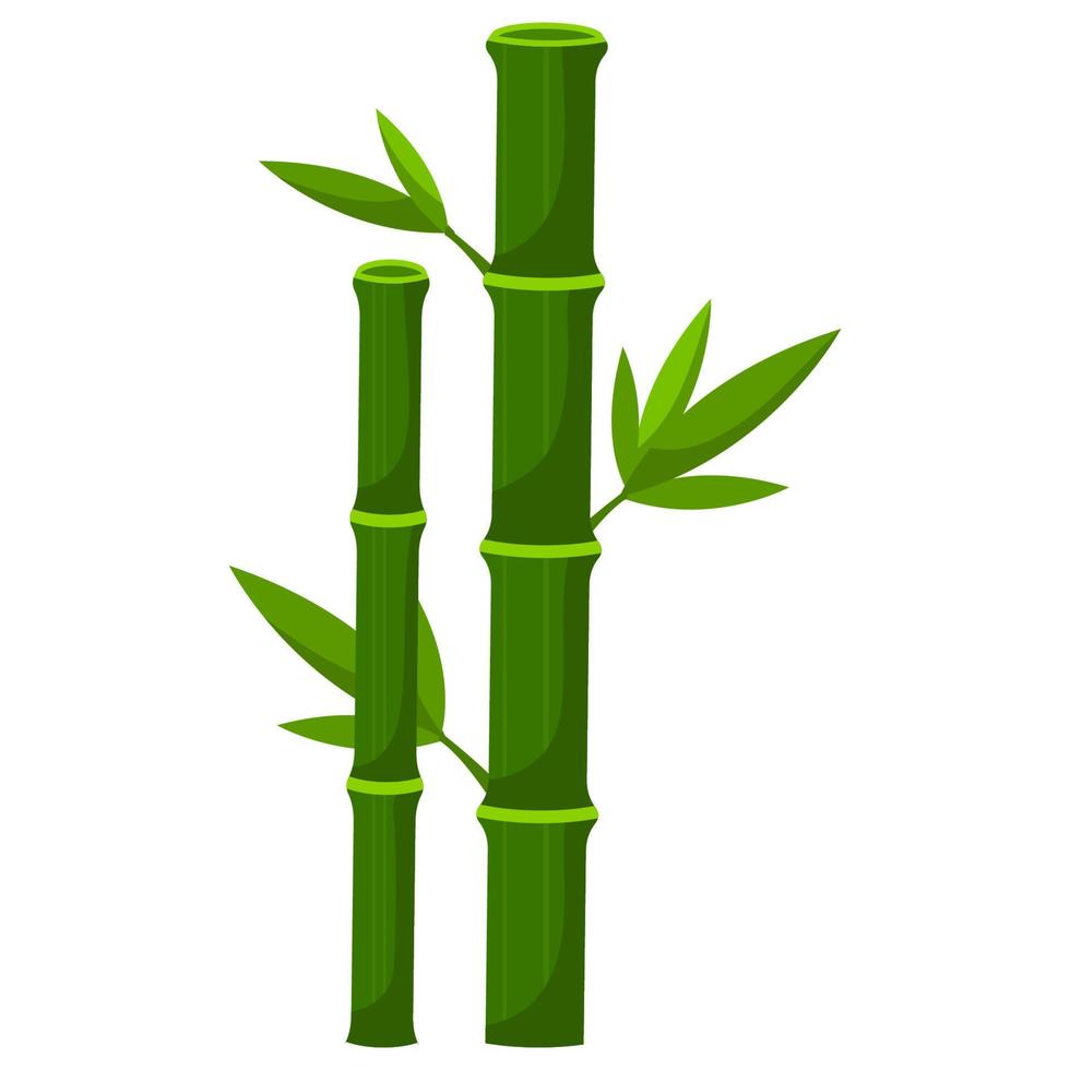 planta de bambu deixa a natureza fresca da ásia vetor