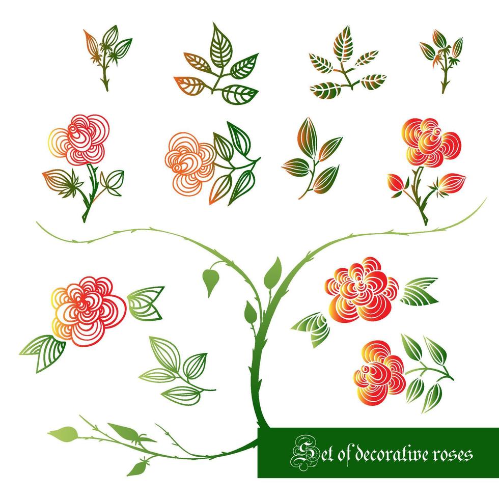 conjunto de elementos decorativos de cores, rosas e folhas vetor