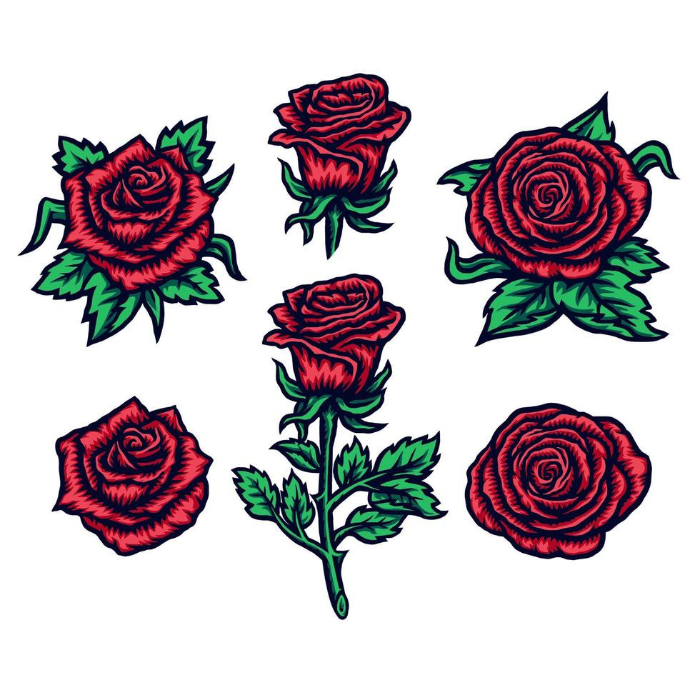 conjunto de rosas isolado no fundo branco vetor