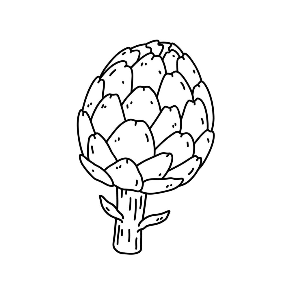 alcachofra isolada no fundo branco. alimentos saudáveis orgânicos. ilustração vetorial desenhada à mão em estilo doodle. perfeito para cartões, logotipo, decorações, receitas, vários designs. vetor
