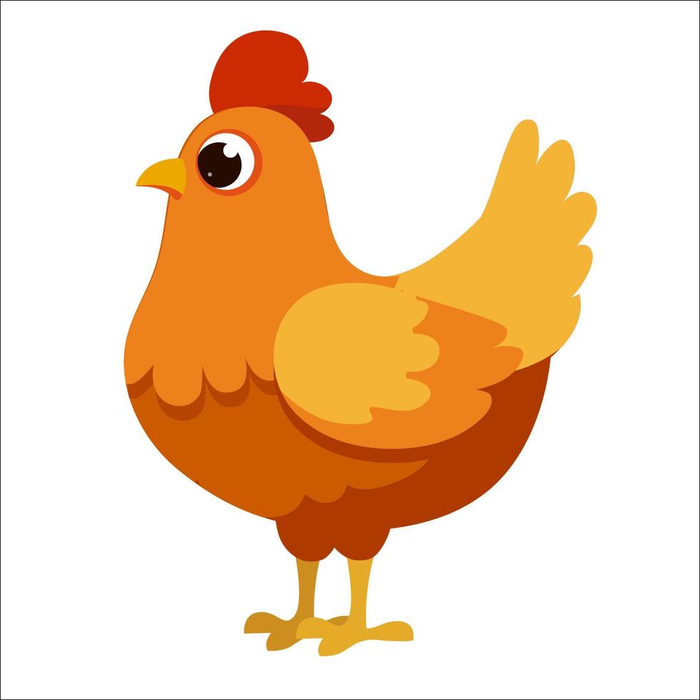 aves galinha galinha galinha animal pássaro fazenda agricultura vetor