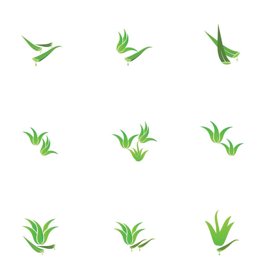 logotipo da aloe vera vetor