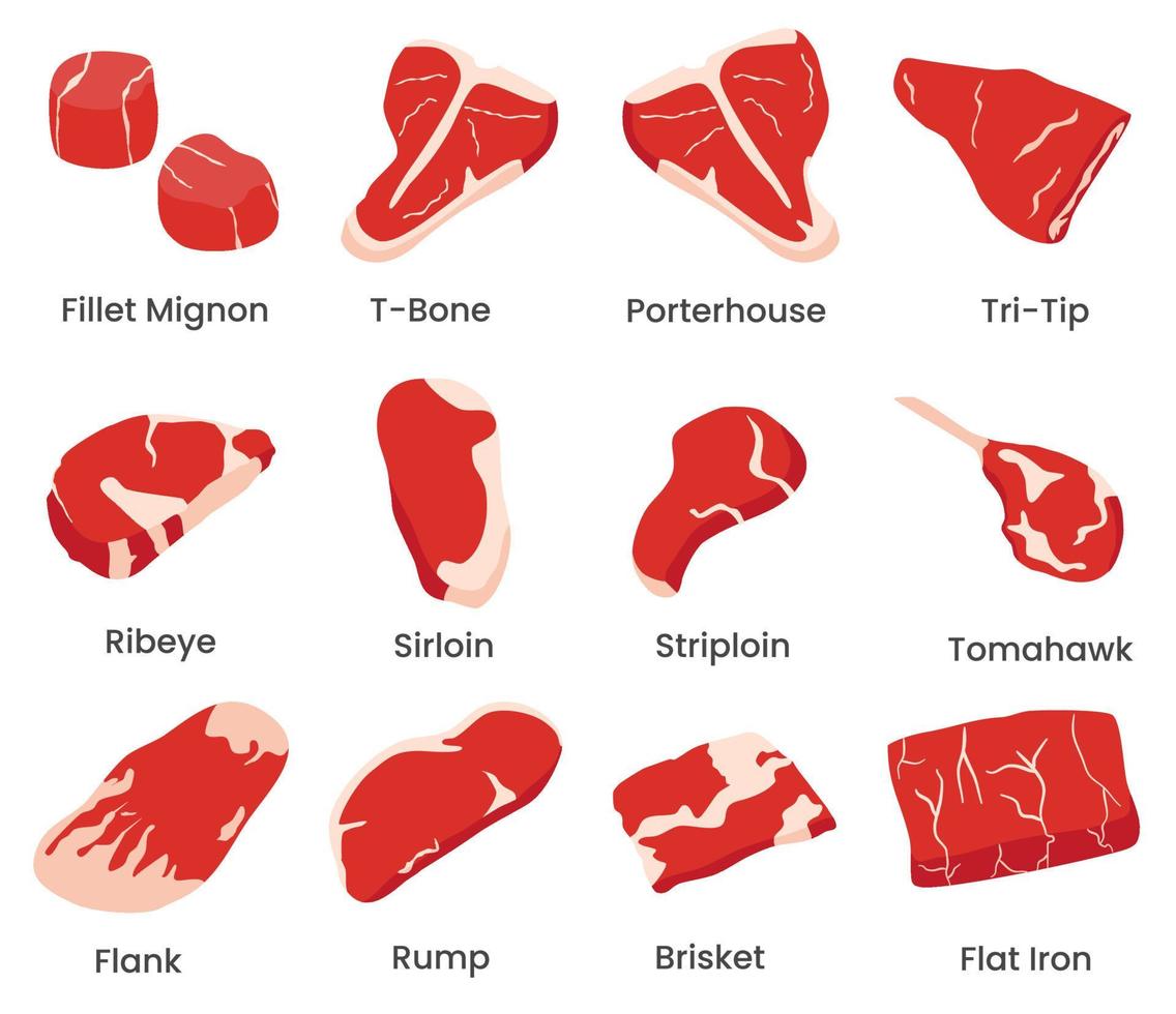 conjunto de ilustração de corte de carne e bife. conter vetor como filé mignon, osso t, tomahawk, lombo, bife, cortes de ferro plano e outros