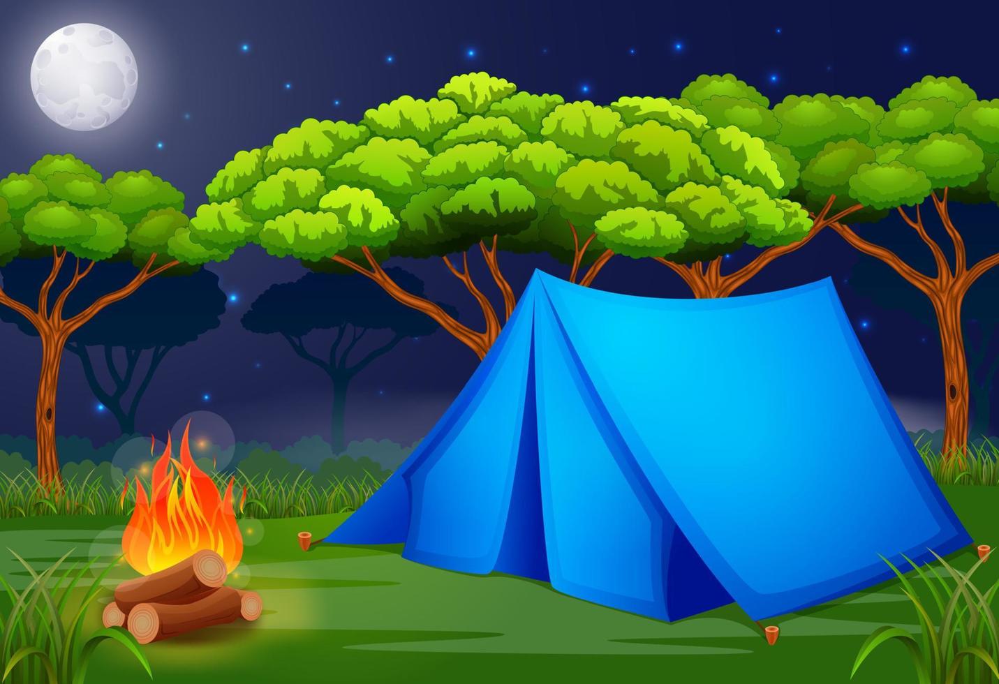 cena acampar na floresta à noite ilustração vetor