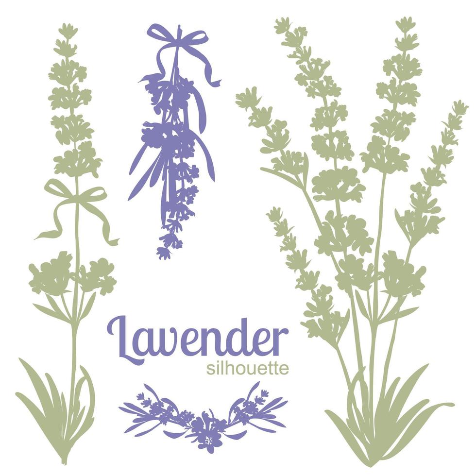 conjunto de silhuetas de flores de lavanda vetor