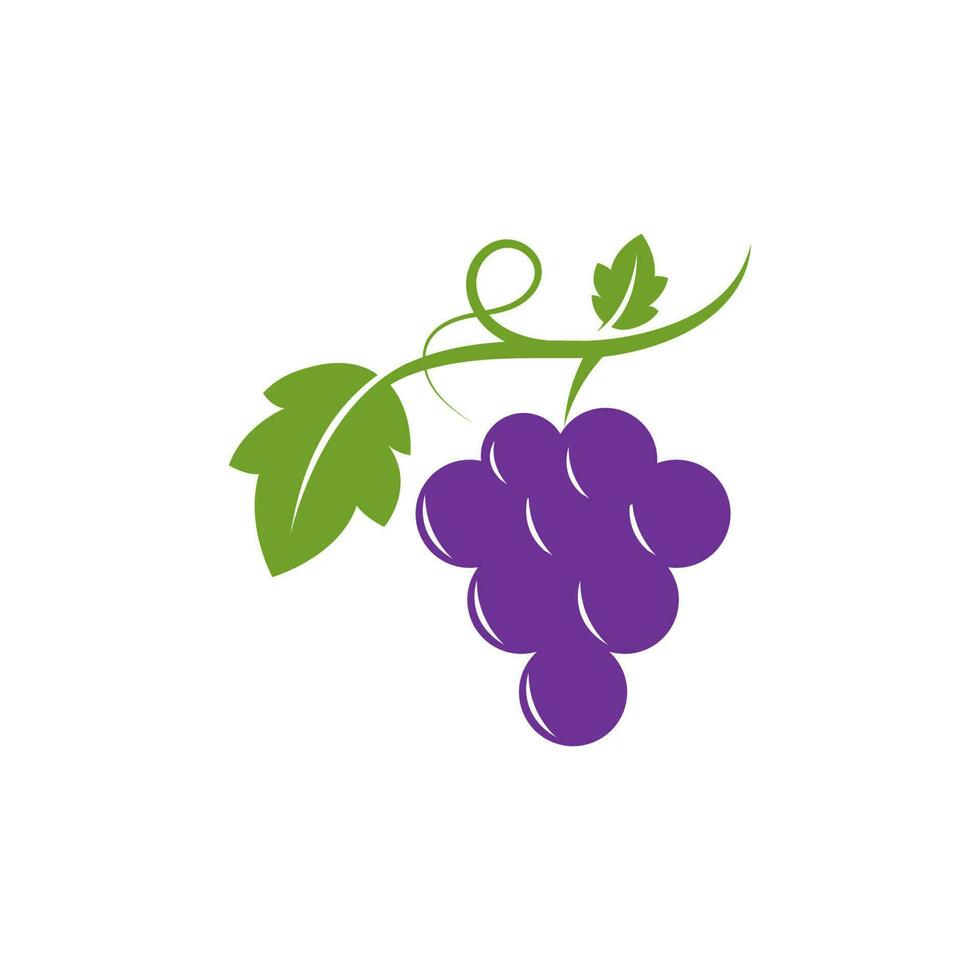 desenho de ilustração de ícone de vetor de uvas
