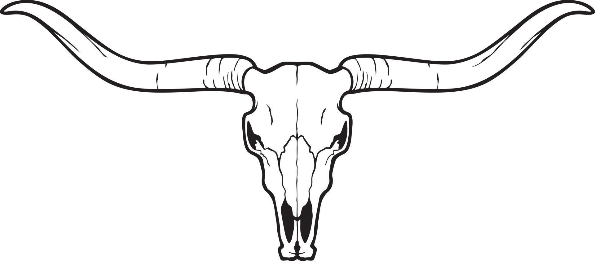 crânio de cabeça de longhorn - ícone de touro ou vaca. ilustração vetorial. vetor