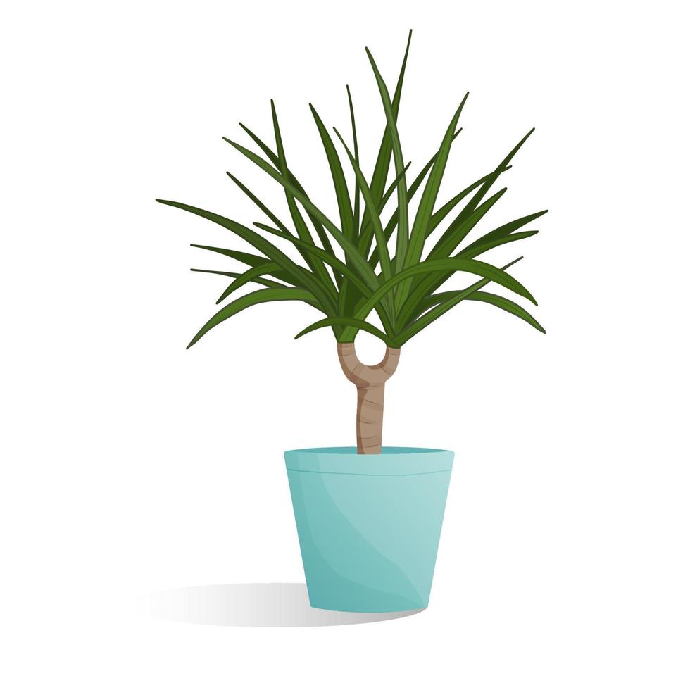 plantar em um vaso. desenho animado dracena. ilustração vetorial isolada vetor