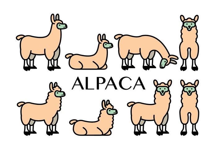 Ícones de vetor de alpaca