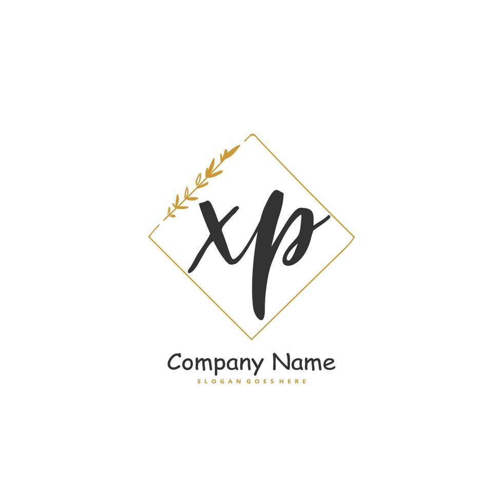 xp manuscrito inicial e design de logotipo de assinatura com círculo. logotipo manuscrito de design bonito para moda, equipe, casamento, logotipo de luxo. vetor