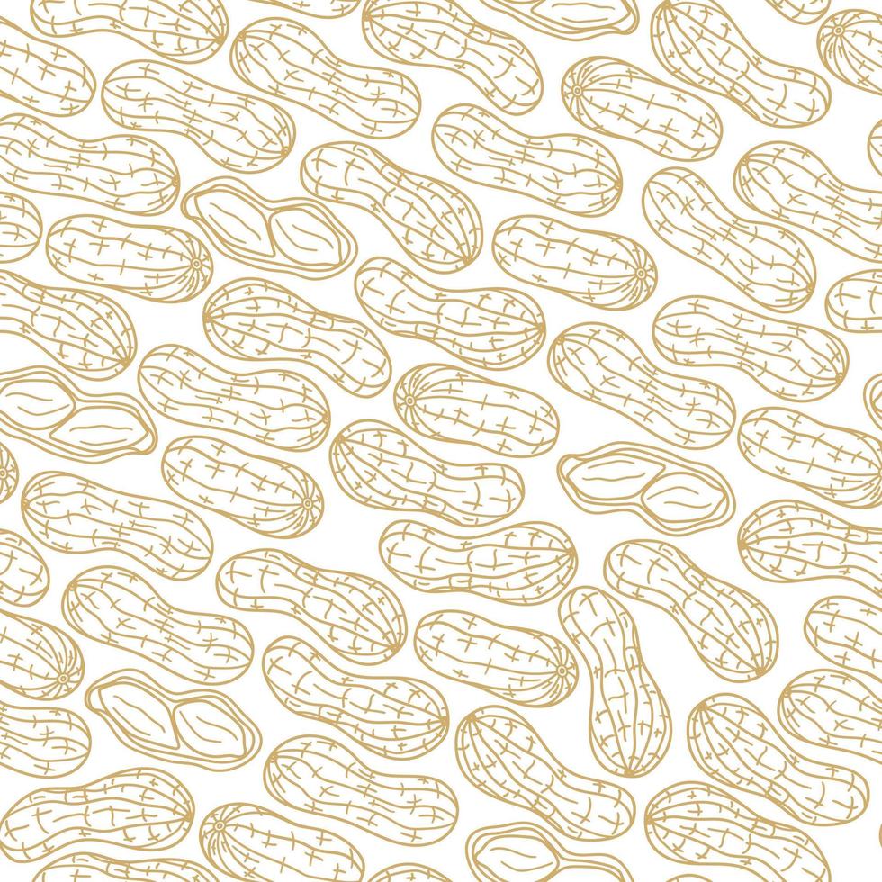 padrão sem emenda com amendoins. ilustração vetorial de amendoim em poucas palavras no fundo branco vetor