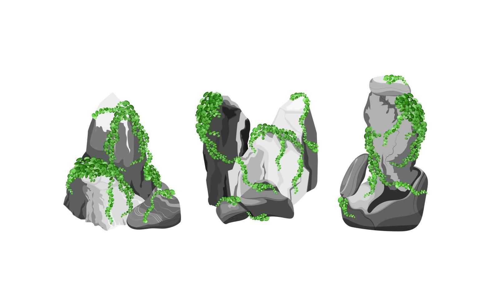 coleção de pedras e plantas de várias formas. seixos costeiros, paralelepípedos, cascalho, minerais e formações geológicas. fragmentos de rocha, pedregulhos e material de construção. vetor