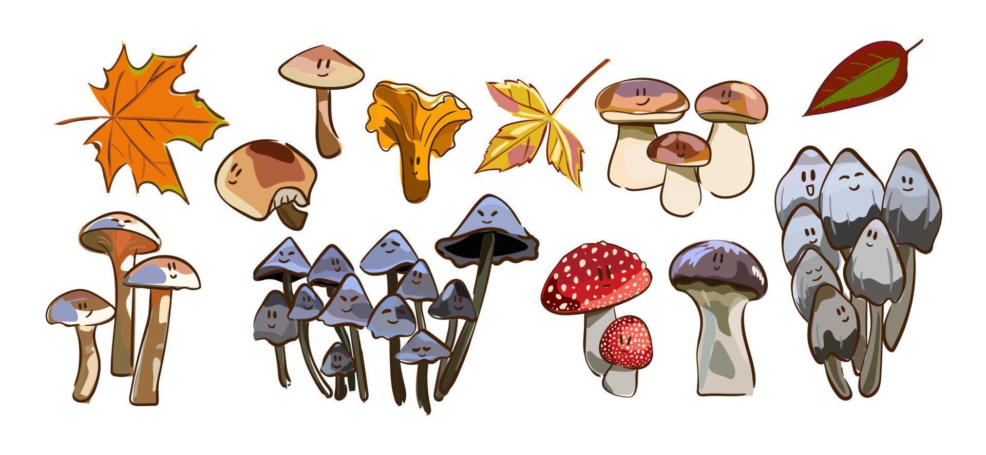 cogumelos dos desenhos animados. conjunto de ilustração vetorial isolado cogumelo venenoso e comestível. tipos de cogumelos selvagens da floresta. vetor