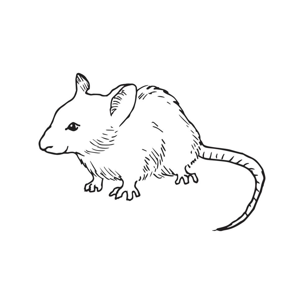 ilustração em estilo de tinta de arte de mouse vetor