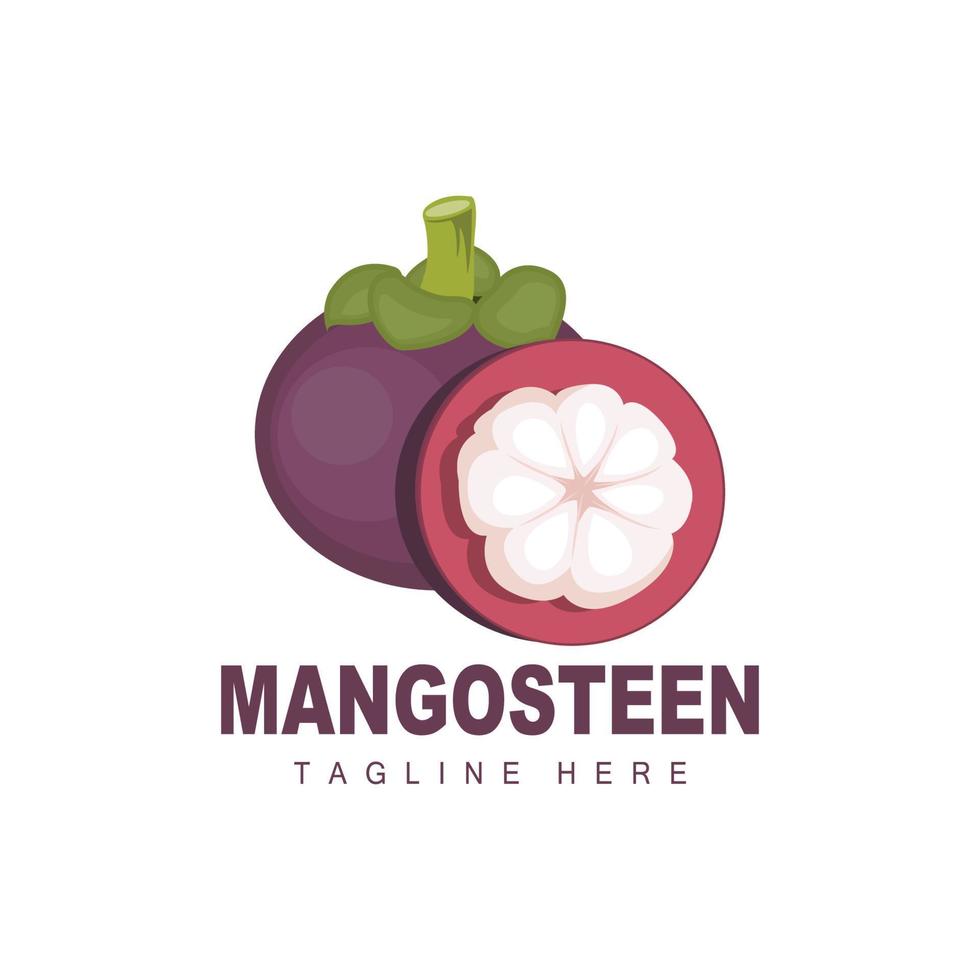 design de logotipo de mangostão, vetor de frutas frescas para a saúde da pele, ilustração de marca de loja de frutas e medicina natural da pele