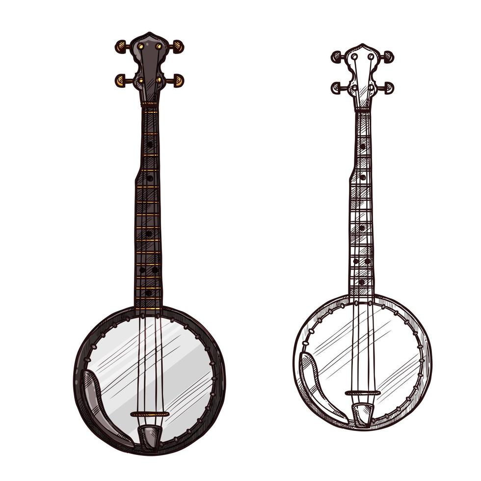 desenho vetorial banjo guitarra instrumento musical vetor