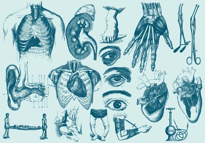 Anatomia azul e ilustrações de cuidados de saúde vetor