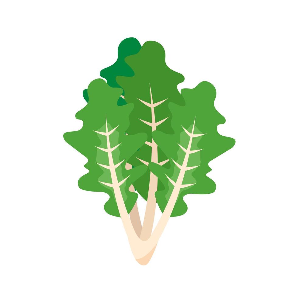 ícone plano de alface, folha de vegetais e salada vetor