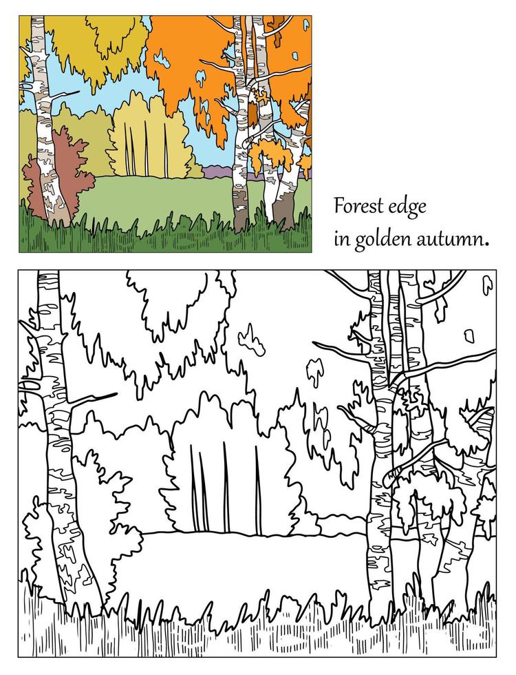 borda da floresta no outono dourado. paisagem de livro para colorir. mão desenhar ilustração vetorial com camadas separadas. vetor