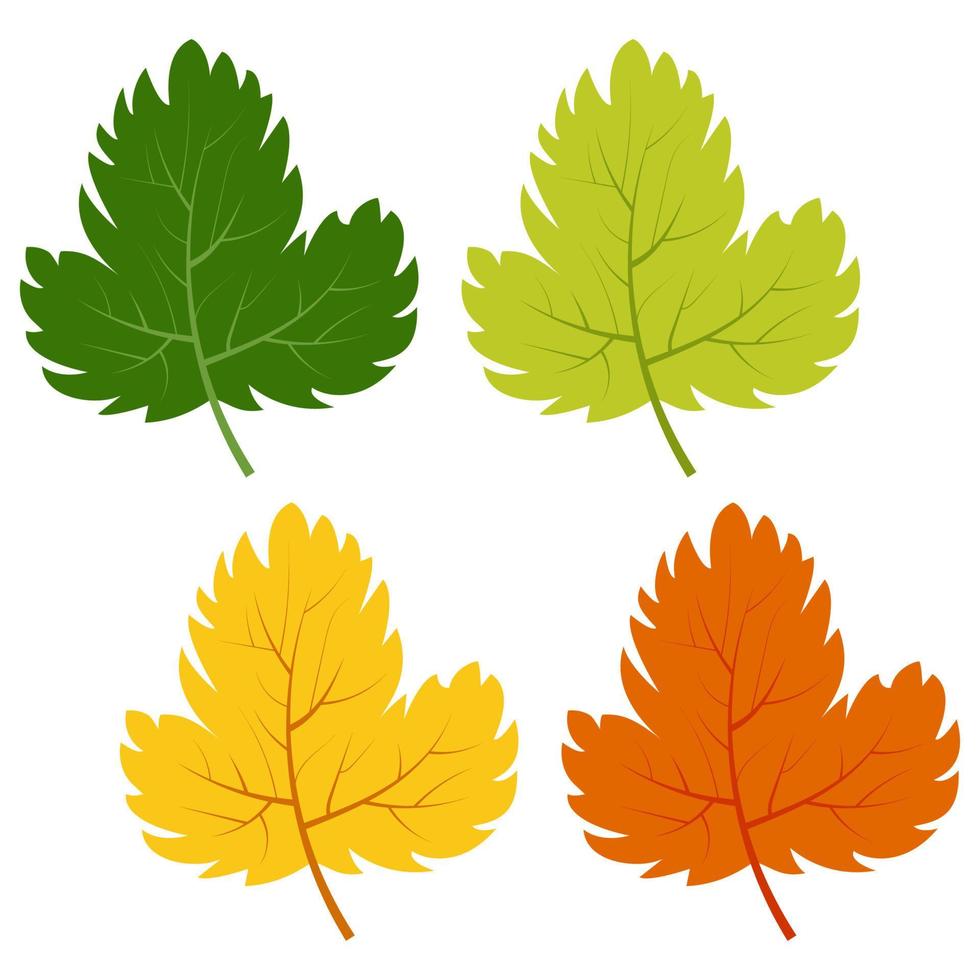 conjunto de folhas verdes, amarelas e vermelhas, isoladas no fundo branco. ilustração em vetor de folhas de outono.