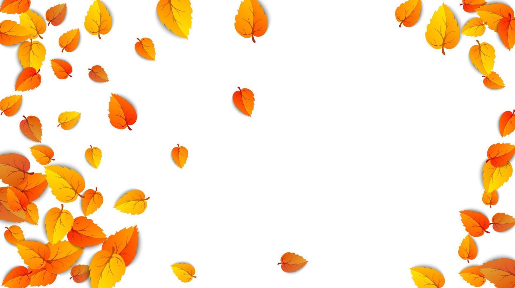 modelo de quadro de folha dourada de outono. árvore caída folhas de outono isoladas em branco. folhagem amarela de outubro e folhagem de natureza outonal. publicidade outono ouro queda folha horizontal fundo. vetor