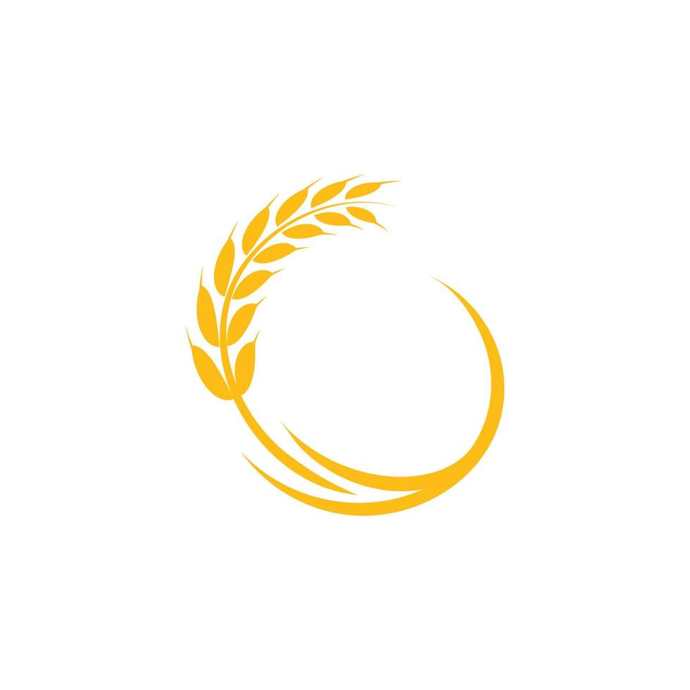 vetor de logotipo de trigo