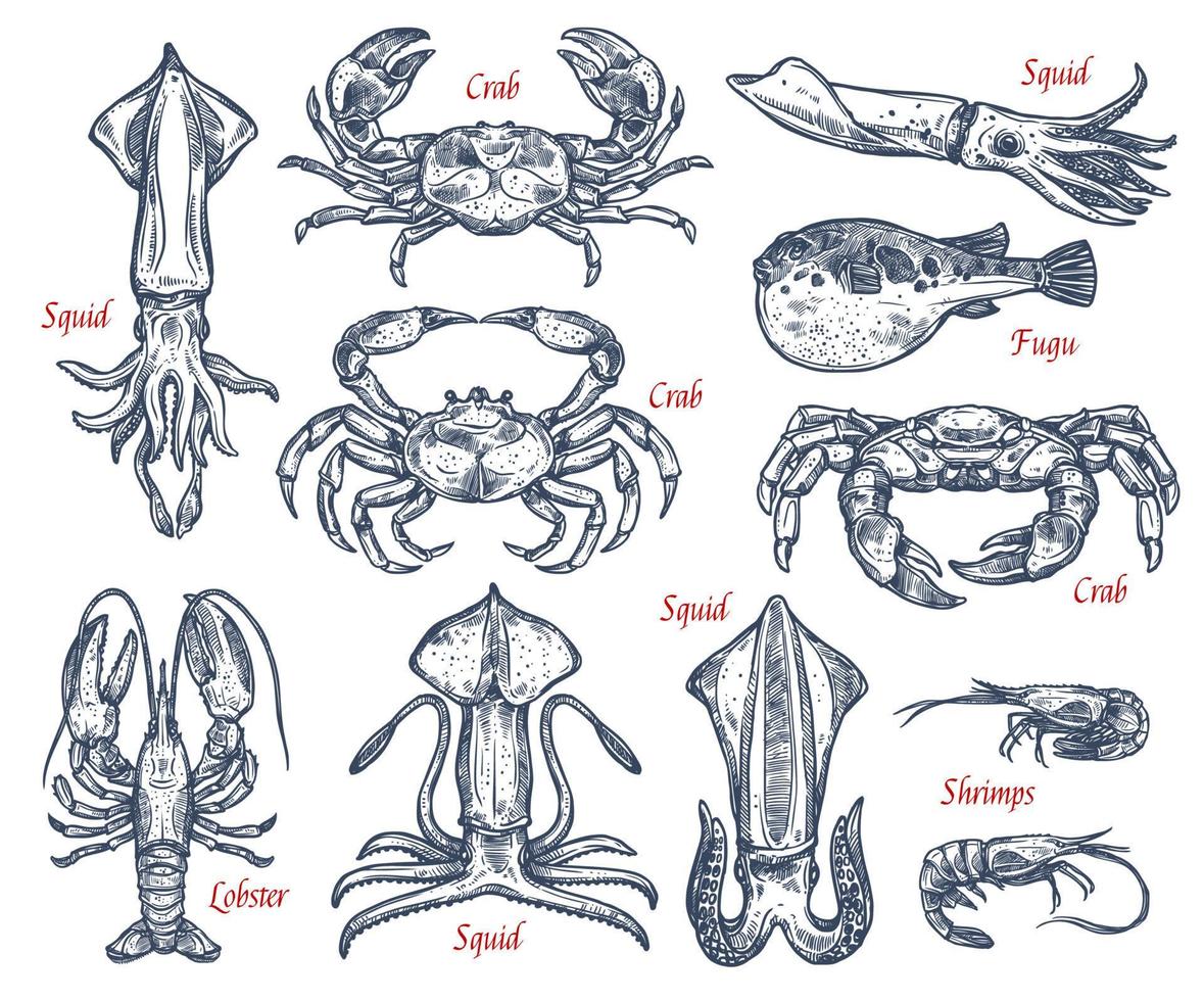 conjunto de esboços de animais de frutos do mar de peixes e crustáceos vetor