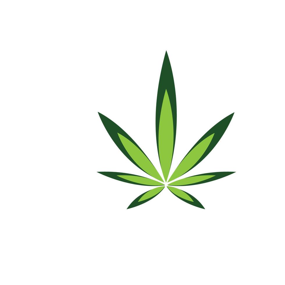design de ícone de ilustração vetorial de folha de cannabis vetor