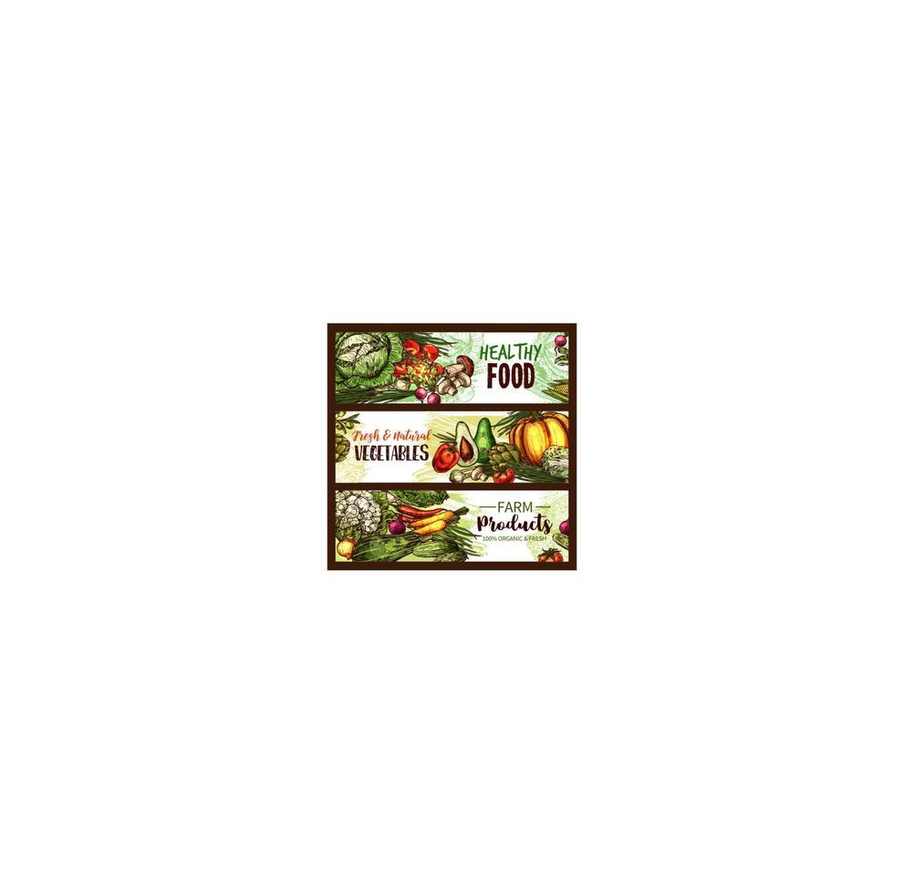 banner de vegetais, frutas, cogumelos de legumes frescos vetor