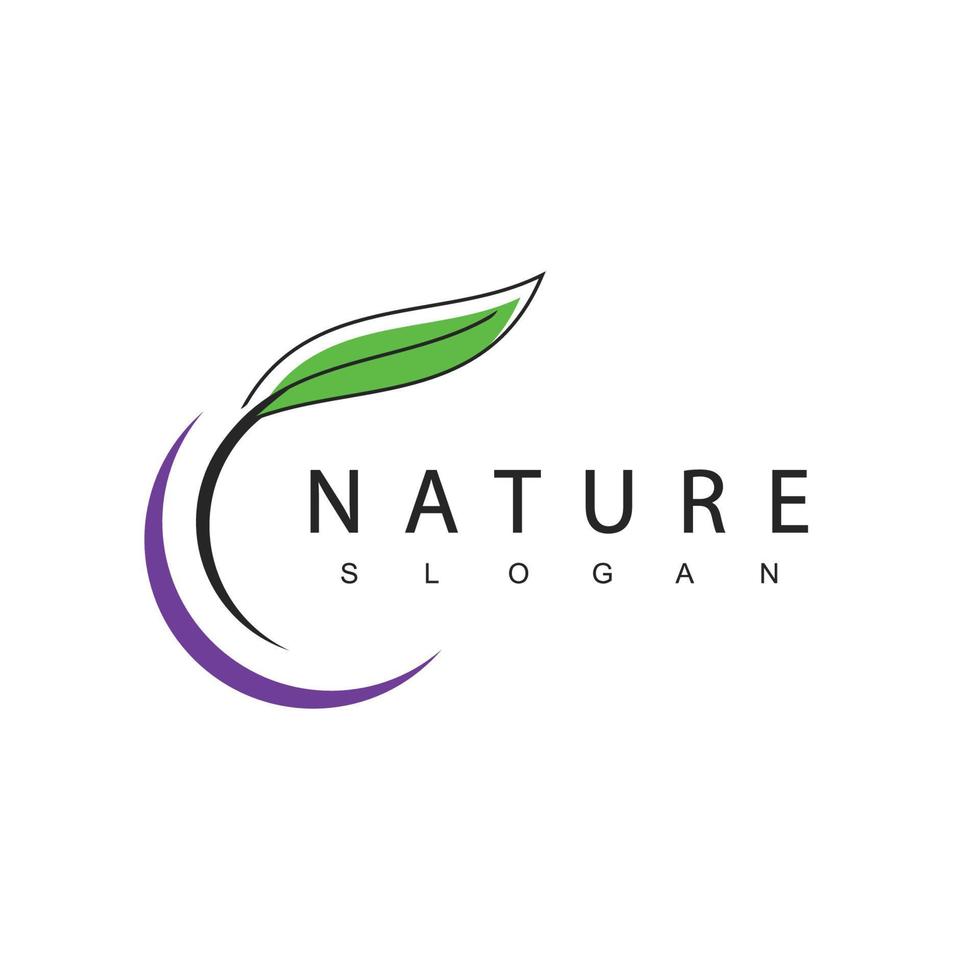 modelo de design de logotipo de natureza, conceito de beleza usando ícone de folha para spa, skincare e cosméticos vetor