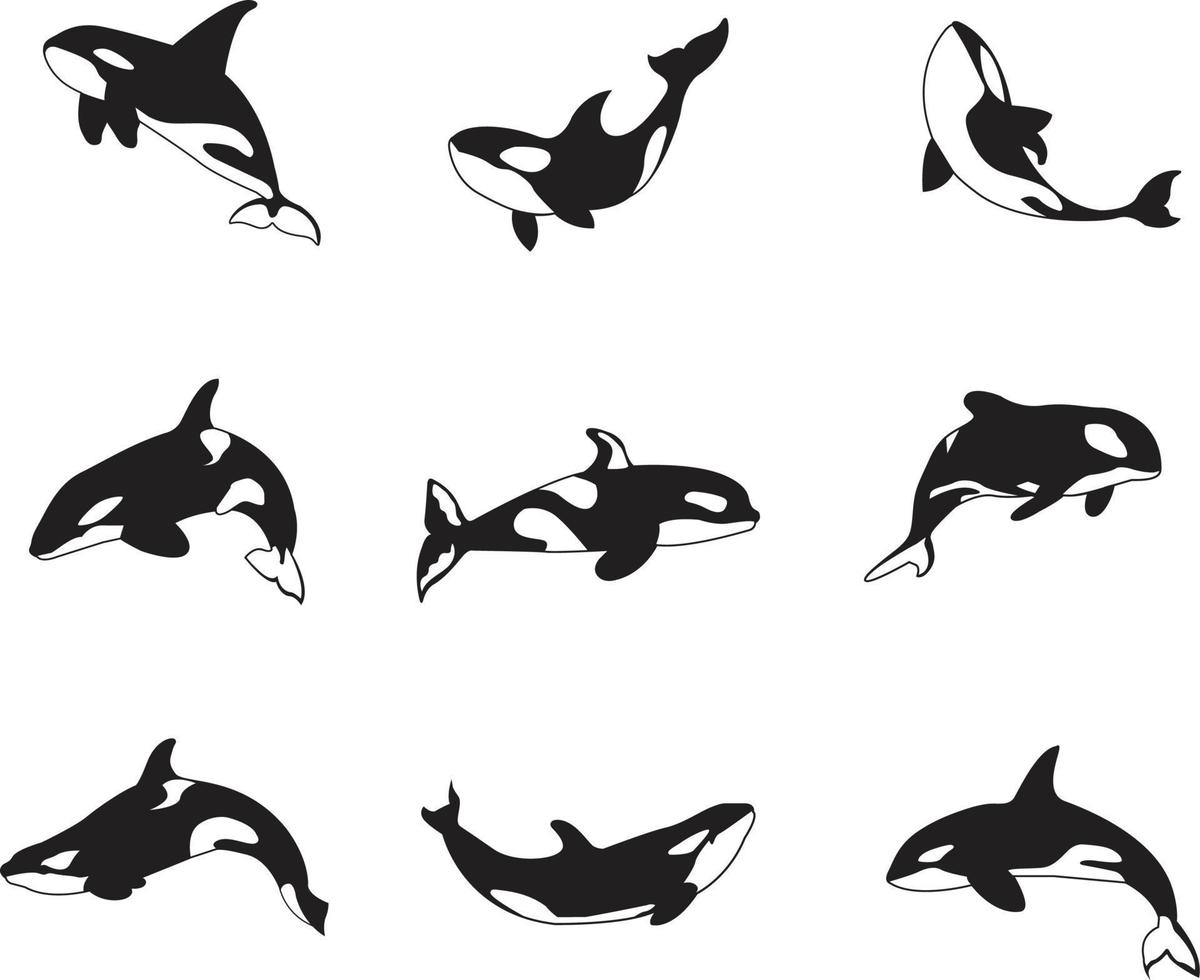 uma coleção de vetores de orcas para composições de arte.